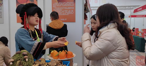 第十四屆全國年貨購物節暨第十一屆中國西南商品博覽會四川 迎春購物月開幕